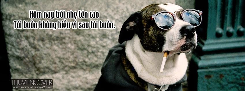 Ảnh bìa facebook đẹp lãng mạn và ý nghĩa về tình yêu