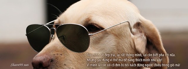 Ảnh bìa Facebook cover đẹp và độc