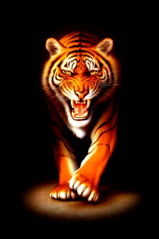 Hình nền Động Vật đẹp dễ thương cho Android