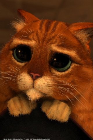 Hình nền Động Vật đẹp dễ thương cho Android