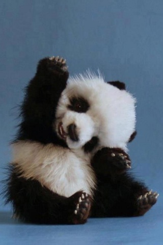 Hình nền Động Vật đẹp dễ thương cho Android