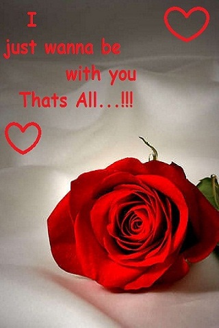 Hình nền tình yêu chuẩn 240x320 cho điện thoại