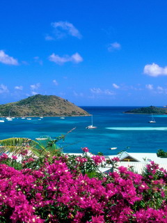 Hình nền 240x320 đẹp