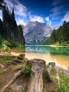 Hình nền 240x320 đẹp