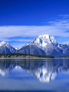 Hình nền 240x320 đẹp